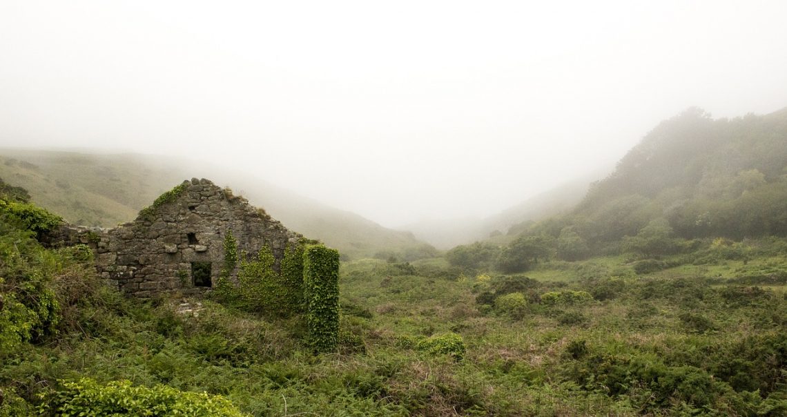 Construire une maison plutôt que l'acheter.