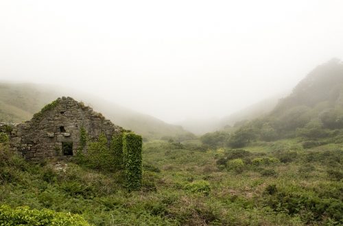 Construire une maison plutôt que l'acheter.