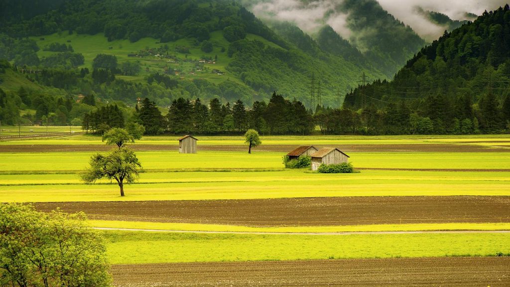 Vendre des terres agricoles  reglementation a tenir compte.